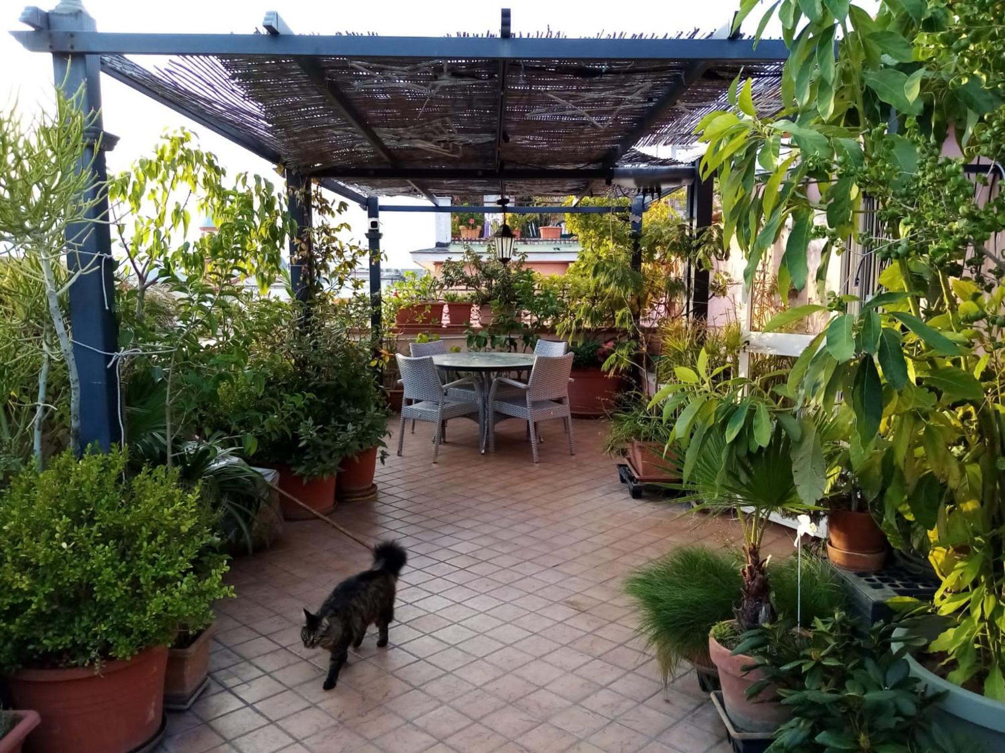 Il Nido Della Quaglia B&B - Jaba Mia House Lt ポッツオーリ エクステリア 写真
