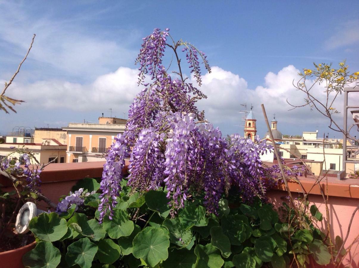 Il Nido Della Quaglia B&B - Jaba Mia House Lt ポッツオーリ エクステリア 写真