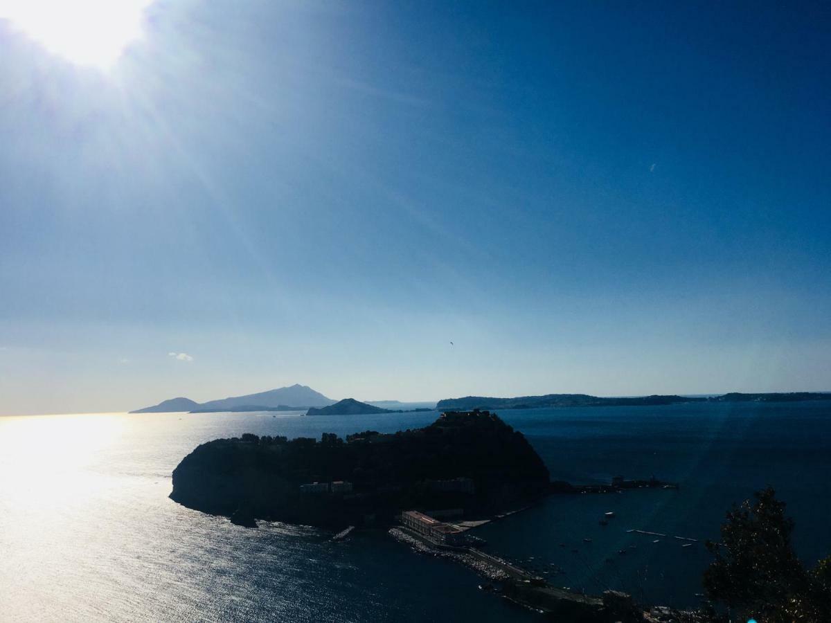 Il Nido Della Quaglia B&B - Jaba Mia House Lt ポッツオーリ エクステリア 写真